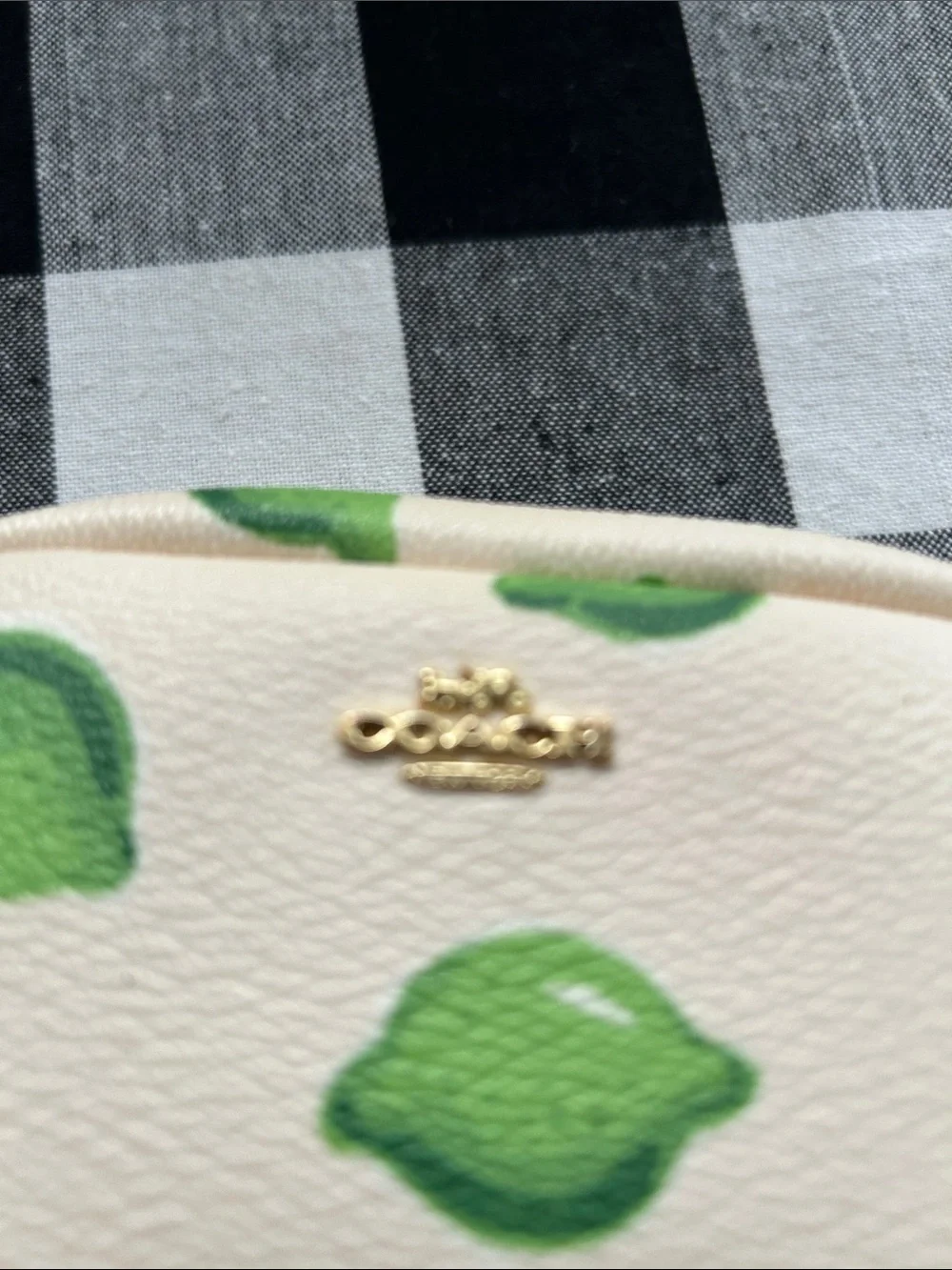 Coach Cream Cosmetic Pouch with Green Lime Print - Picture 5 of 5